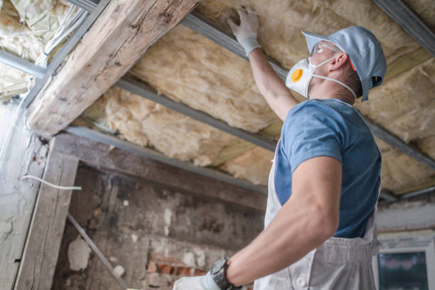 Best Eco-Friendly Insulation in Ainaloa, HI
